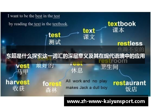 东超是什么探索这一词汇的深层意义及其在现代语境中的应用