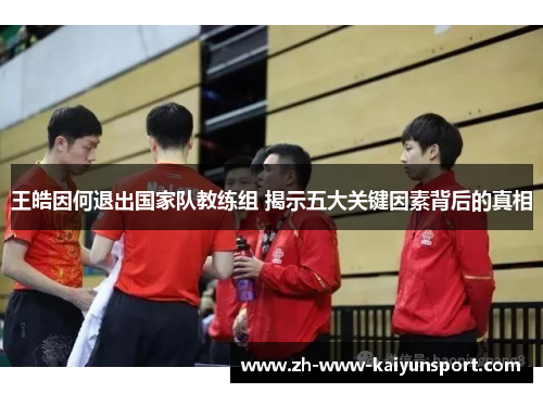王皓因何退出国家队教练组 揭示五大关键因素背后的真相