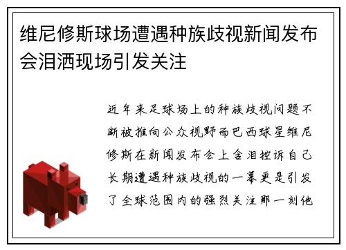 维尼修斯球场遭遇种族歧视新闻发布会泪洒现场引发关注